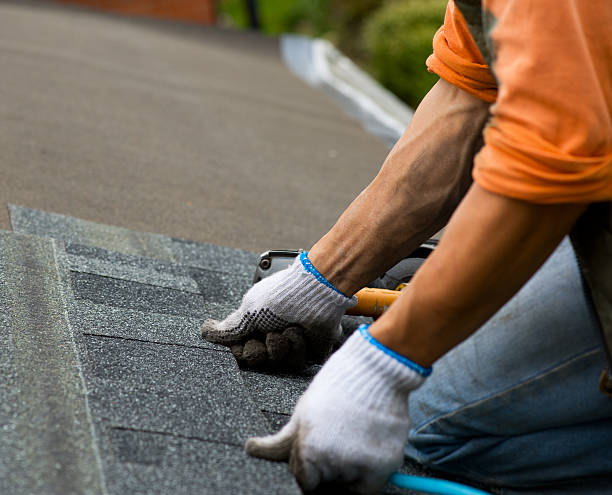 Best Roof Restoration Services  in St Ignace, MI